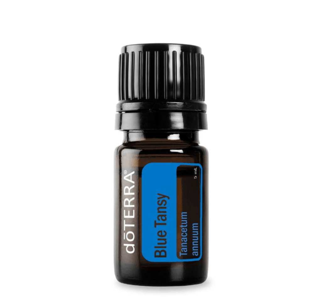 Olejek Blue Tansy doTERRA – wrotycz marokański 5 ml