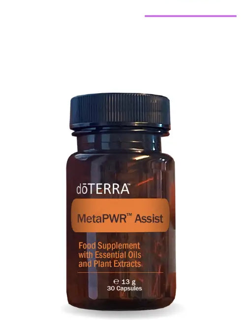 metapwr-assist.webp